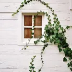 Переделка мебели и аксессуаров Рестов-Ростов