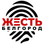 Жесть Белгород