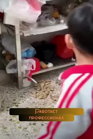 Фото