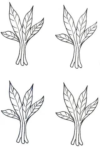 Фото