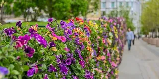 Фото