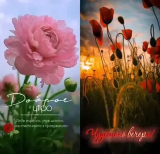 Фото