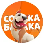 Собака бабака