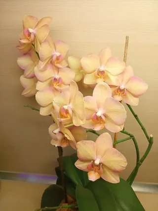 Фото
