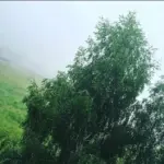 Промты для фотосессий ИИ🪄 (Анастасия Чиканова)