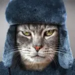 Кошкин Сибиряк