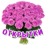 Юмор