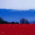Россия Молодая