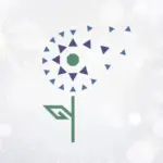 Корпоративный университет Правительства НСО