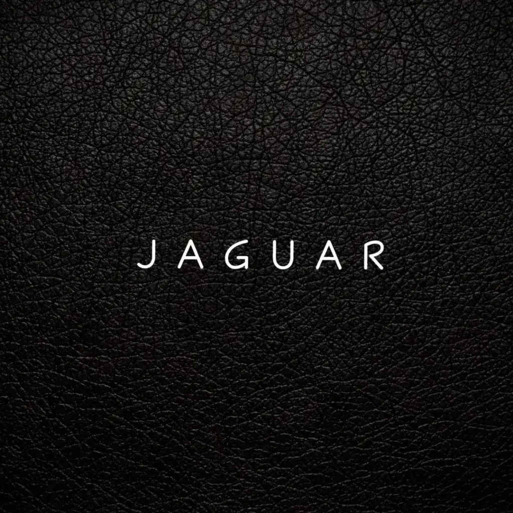 J A G U A R