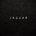 J A G U A R