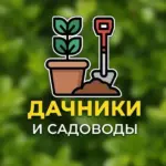 Дачники и Садоводы